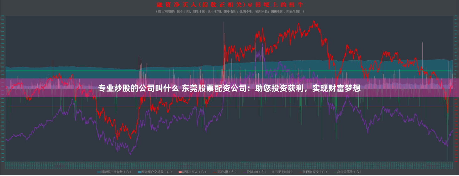专业炒股的公司叫什么 东莞股票配资公司：助您投资获利，实现财富梦想