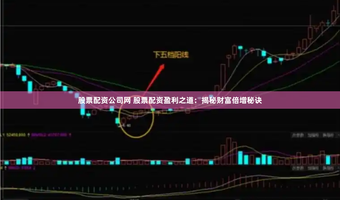 股票配资公司网 股票配资盈利之道：揭秘财富倍增秘诀