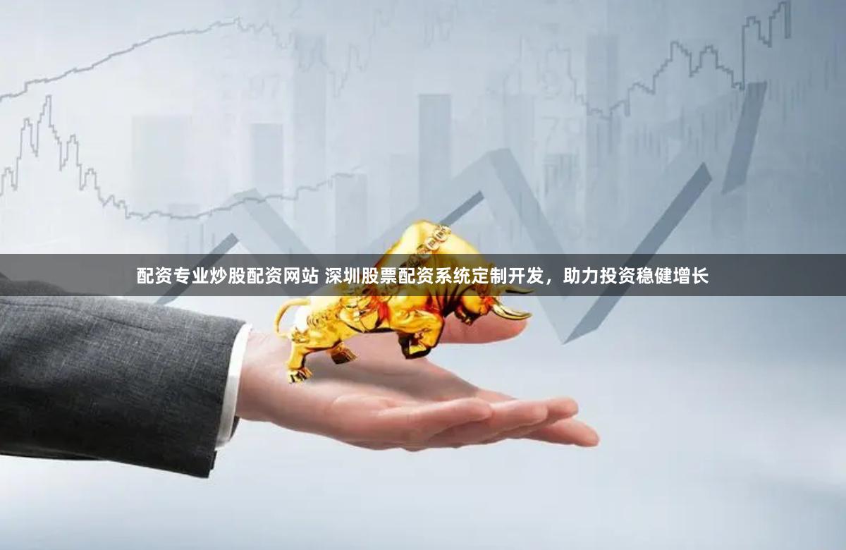 配资专业炒股配资网站 深圳股票配资系统定制开发，助力投资稳健增长