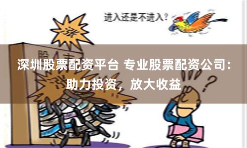 深圳股票配资平台 专业股票配资公司：助力投资，放大收益