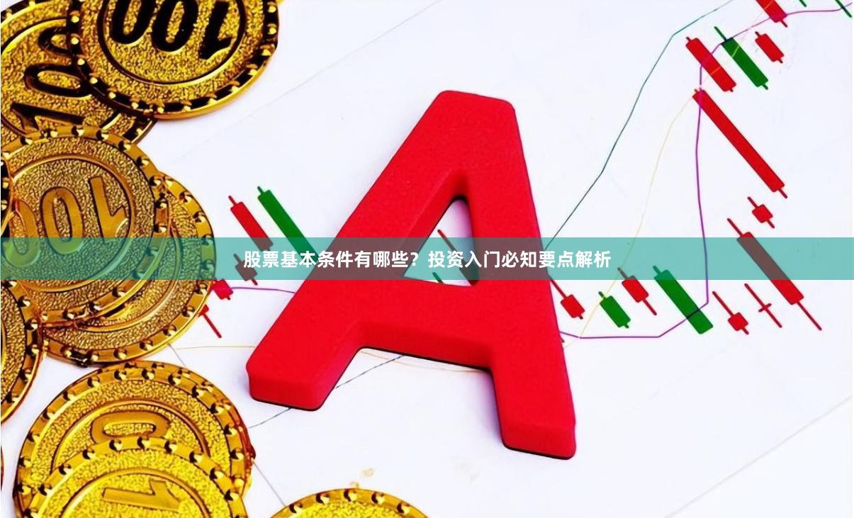 股票基本条件有哪些？投资入门必知要点解析